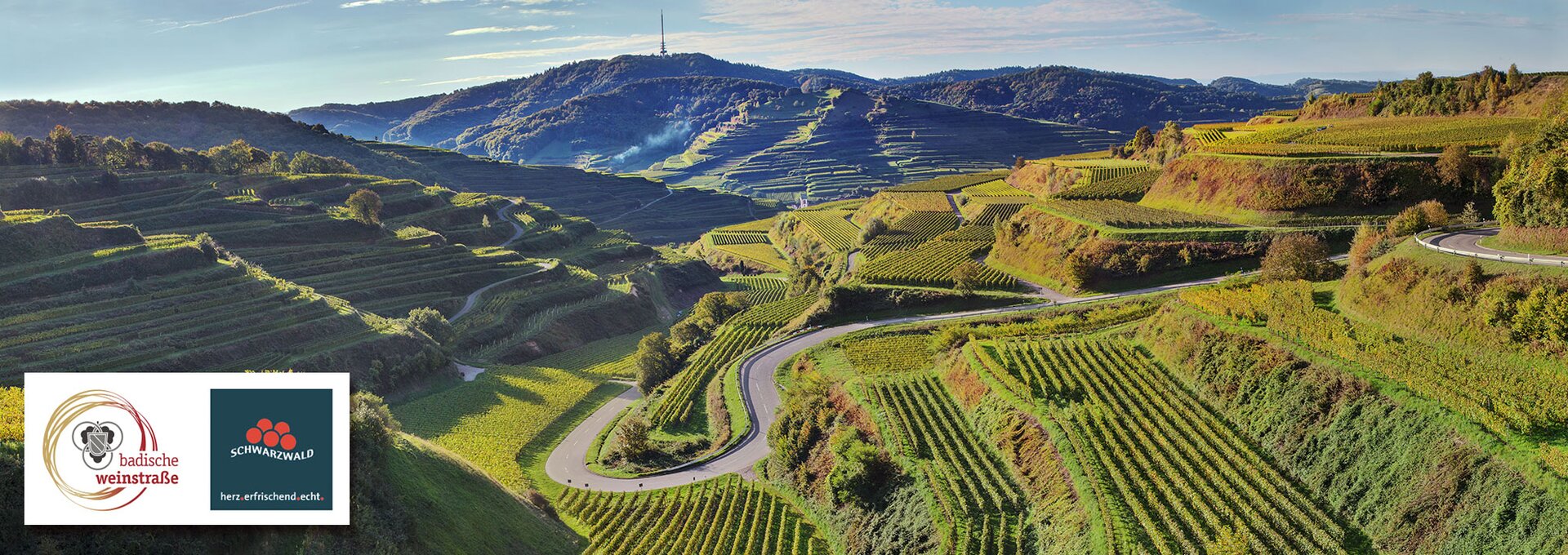 Kaiserstuhl, Ruta del Vino de Baden | © Foto: Gottfried Reidler - stock.adobe.com Kaiserstuhl, Ruta del Vino de Baden | © Foto: Gottfried Reidler - stock.adobe.com
