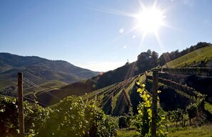 Ruta del Vino de Baden | © Foto: Badischer Wein