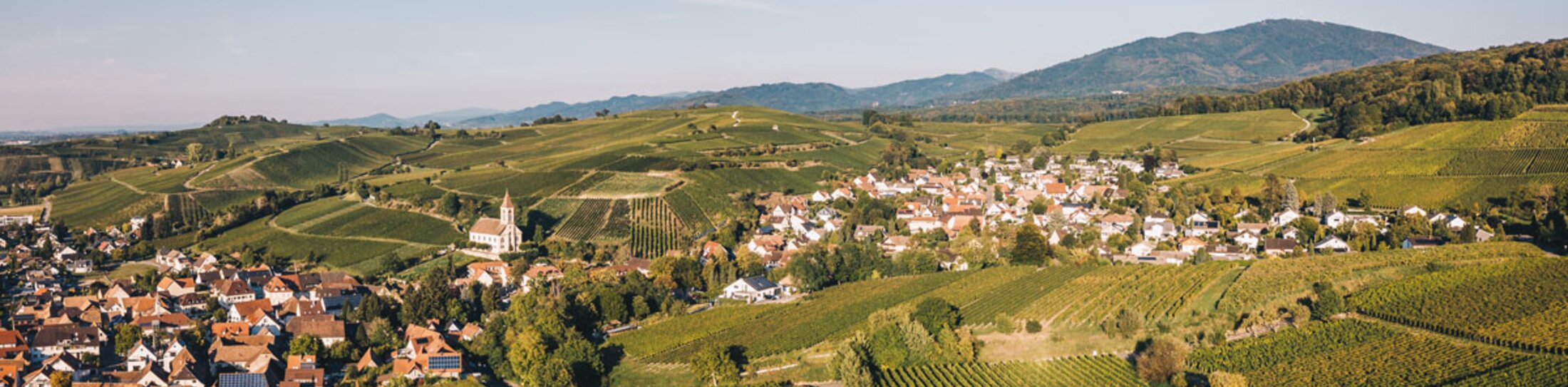 Auggen Paorama, Ruta del Vino de Baden | © Auggen Panorama, Foto: Keller, Schwarzwald Tourismus Auggen Paorama, Ruta del Vino de Baden | © Auggen Panorama, Foto: Keller, Schwarzwald Tourismus