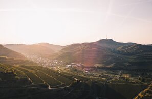 Ruta del Vino de Baden, Kaiserstuhl | © Foto: Keller, Schwarzwald Tourismus