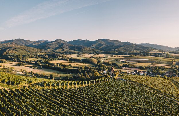 Ruta del Vino de Baden | © Foto: Keller, Schwarzwald Tourismus