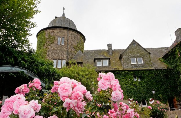 © Castillo de la Bella Durmiente Sababurg en Reinhardswald  © etfoto - stock.adobe.com