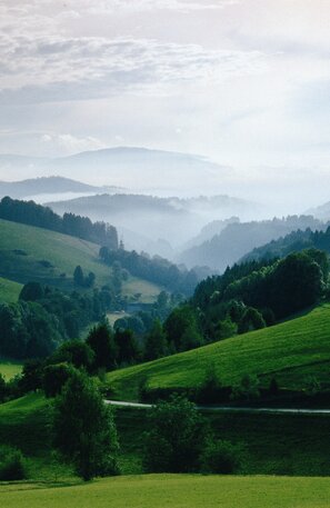 © La Ruta Verde atraviesa los valles de la Selva Negra y los Vosgos © Vereinigung Grüne Straße.