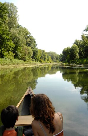 © Paseo en barco por el parque nacional © Donau Niederösterreich, SteveHaider