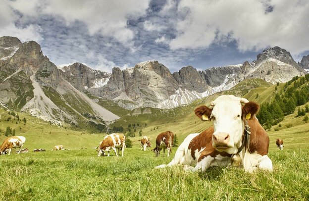 Ruta de los Dolomitas: la gran vuelta con autocaravana | © Foto: Trentino Sviluppo S.p.A,, Carlo Baroni
