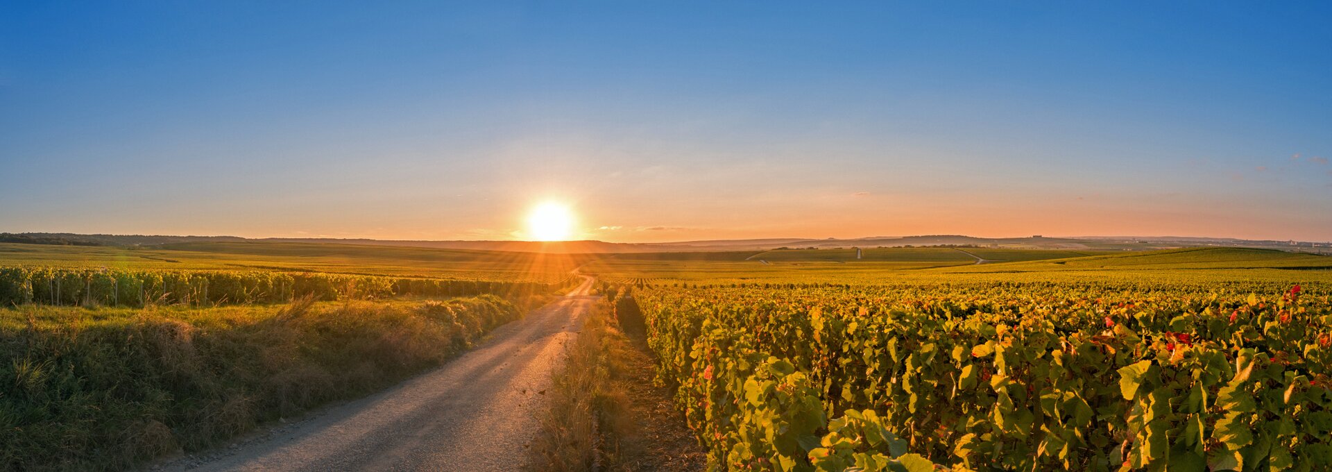 Verzy - Champagne, Francia | © Verzy - ©Didier Laurent - stock.adobe.com Verzy - Champagne, Francia | © Verzy - ©Didier Laurent - stock.adobe.com