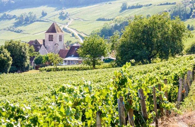 Vista sobre viñedos de Champagne en Bonneil, Francia | © Vista sobre viñedos de Champagne en Bonneil, Francia ©olrat - stock.adobe.com
