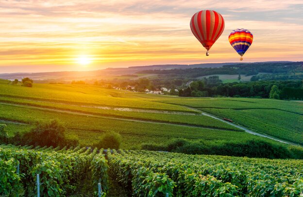 globos aerostáticos volando sobre viñedos cerca de Reims, Francia | © globos aerostáticos volando sobre viñedos cerca de Reims, Francia ©Southtownboy Studio - stock.adobe.com