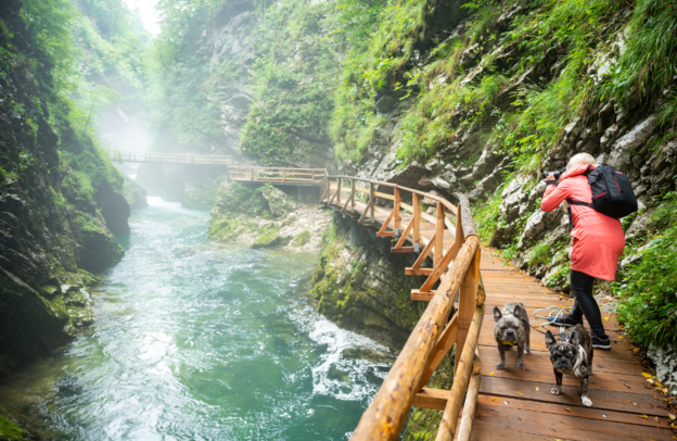 Garganta de Vintgar en Eslovenia | © Garganta de Vintgar en Eslovenia - Foto: Daniel Beckemeier - stock.adobe.com